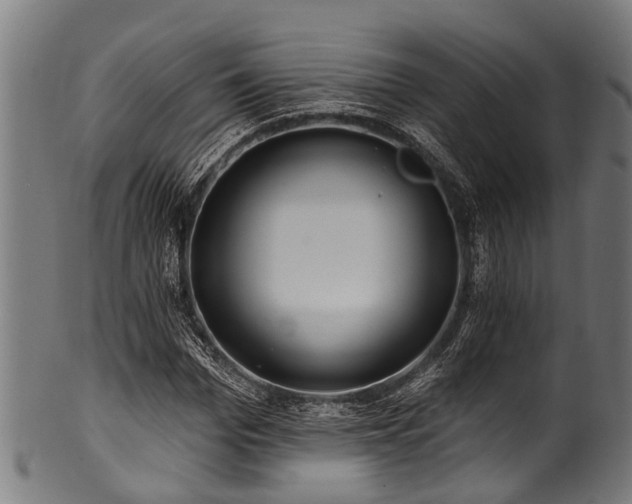 X0000100970969200806241547