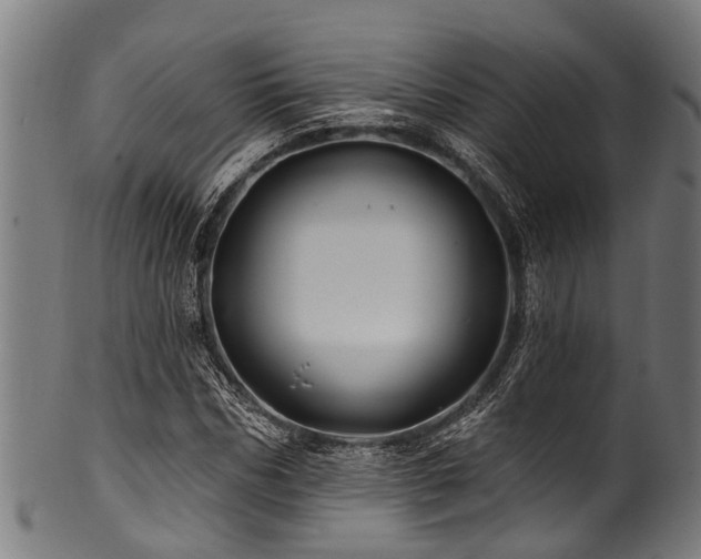 X0000100970970200806241547