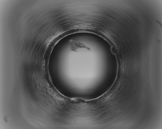 X0000100970971200806241547