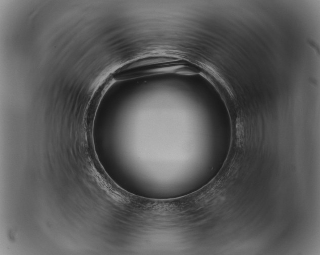 X0000100970972200806241547