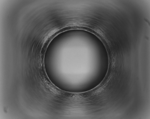 X0000100970974200806241547