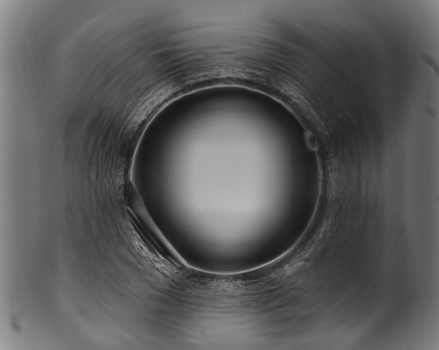 X0000100970977200806241547