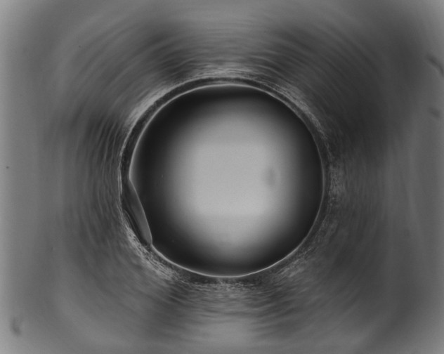 X0000100970980200806241547