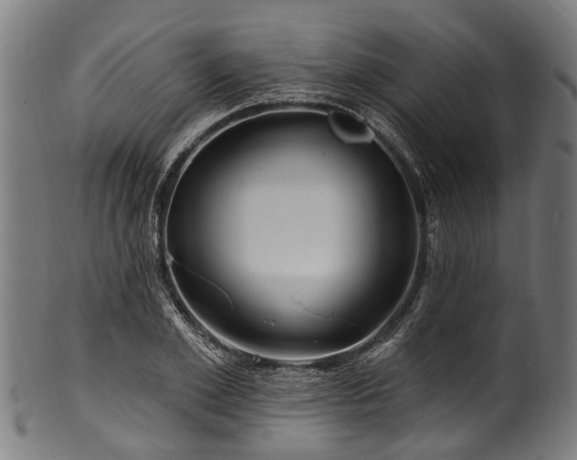 X0000100970981200806241547