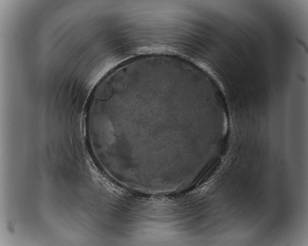 X0000100970983200806241547