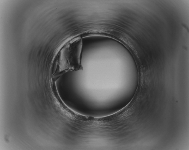 X0000100970984200806241547