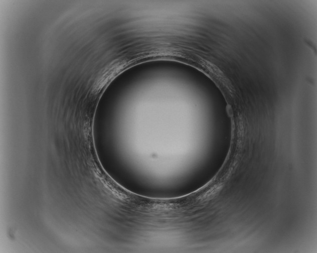 X0000100970985200806241547