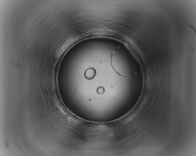 X0000100970986200806241547