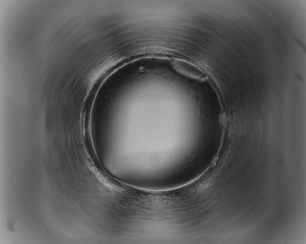 X0000100970987200806241547