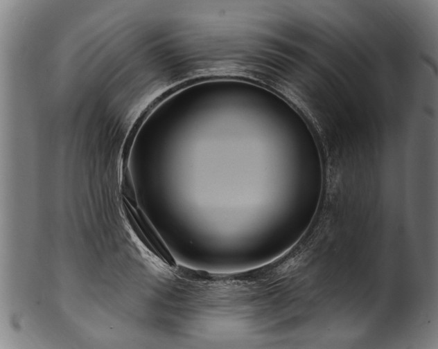 X0000100970988200806241547