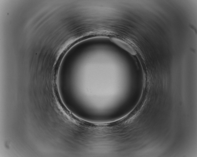 X0000100970989200806241547