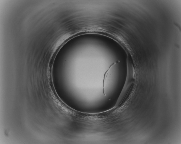 X0000100970990200806241547