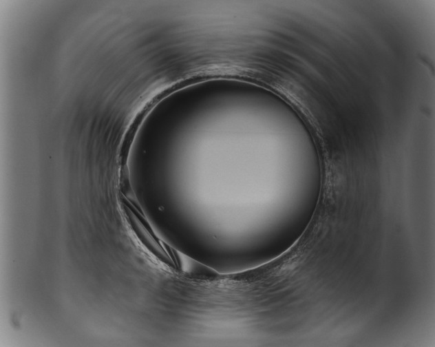 X0000100970992200806241547