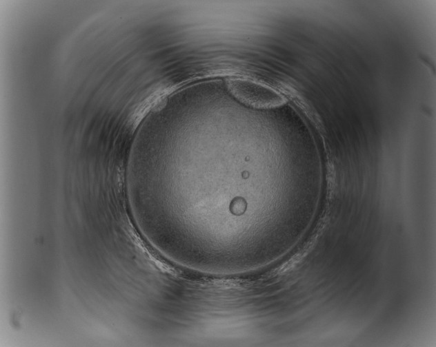 X0000100970993200806241547