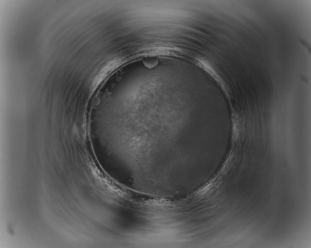 X0000100970994200806241547