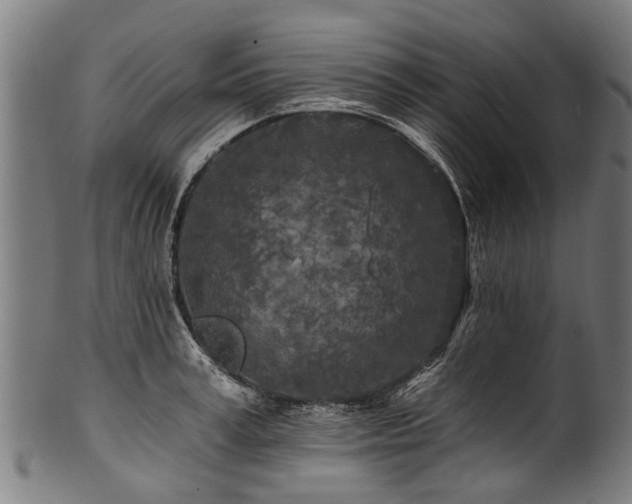 X0000100970995200806241547