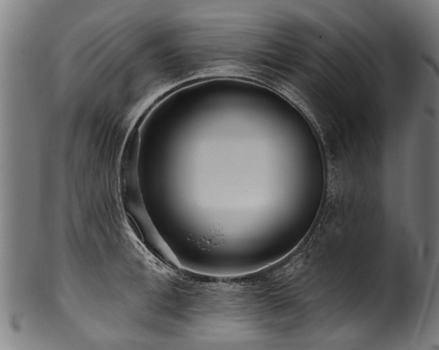 X0000100970996200806241547