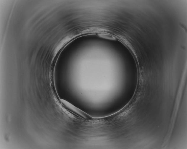 X0000100970997200806241547