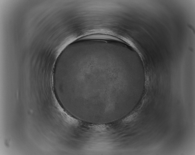 X0000100970999200806241547