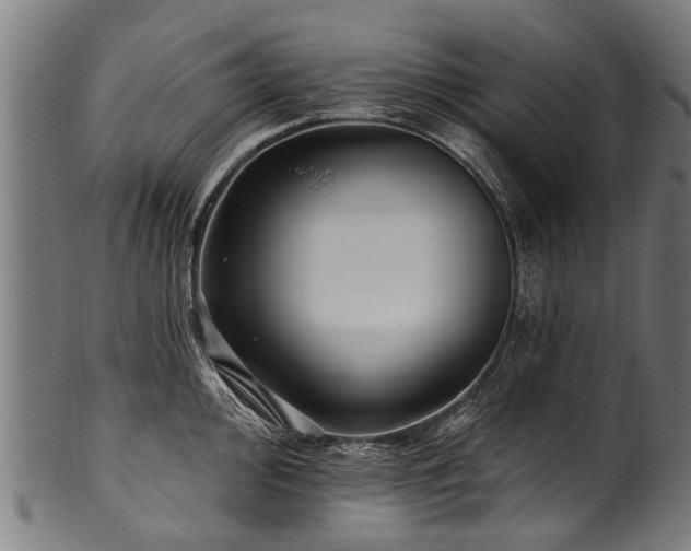 X0000100971000200806241547