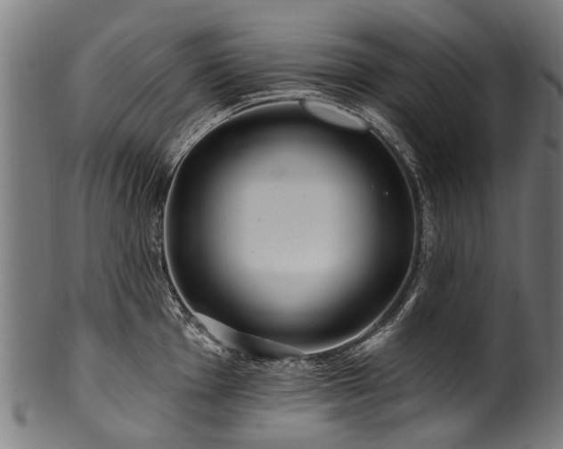 X0000100971001200806241547