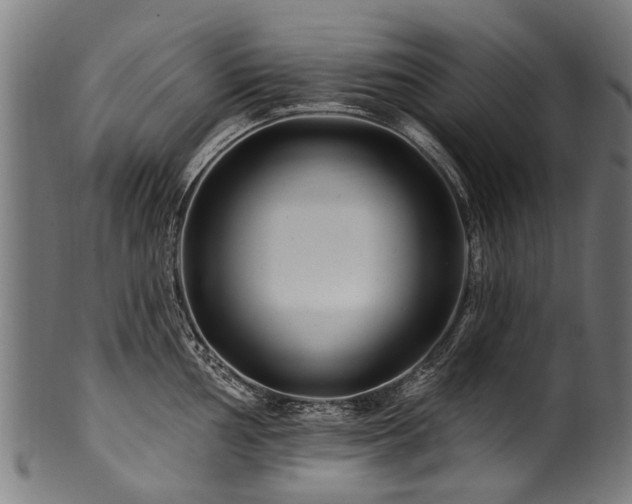 X0000100971002200806241547