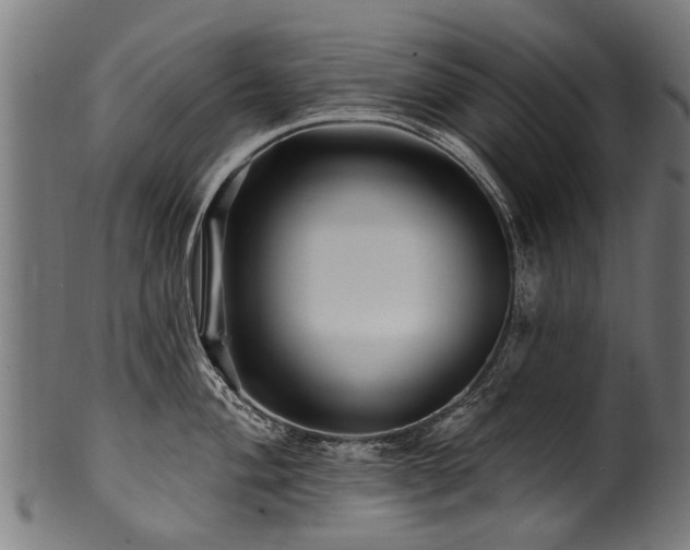 X0000100971004200806241547