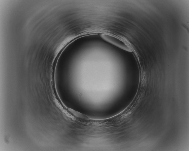 X0000100971005200806241547