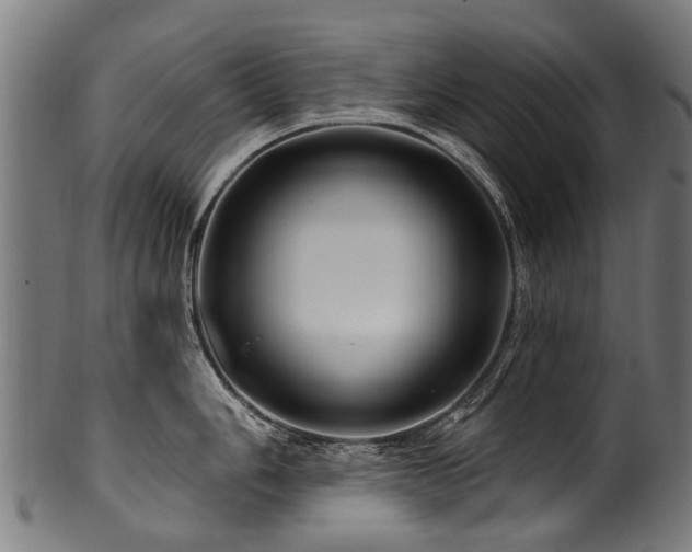 X0000100971006200806241547