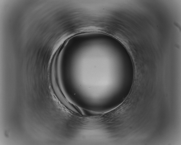 X0000100971008200806241547