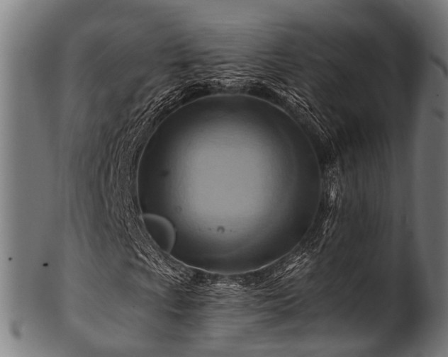 X0000100971009200806241546