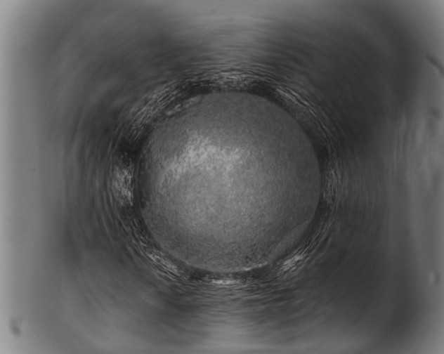 X0000100971010200806241546