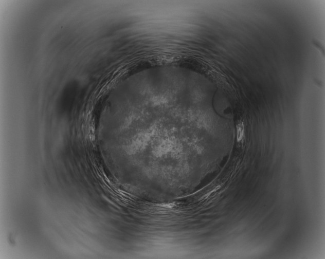 X0000100971011200806241546