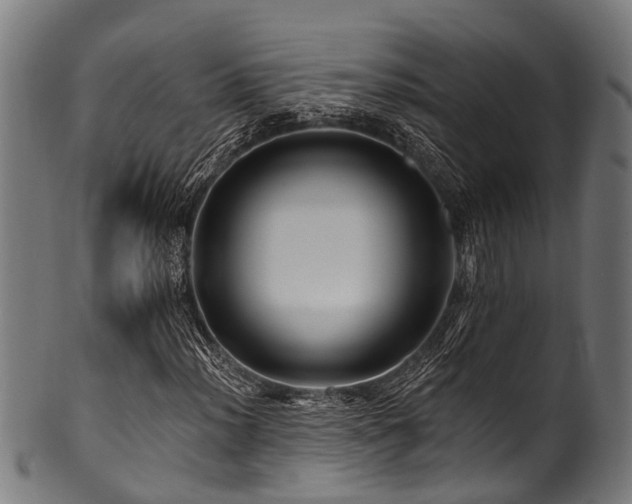 X0000100971012200806241546