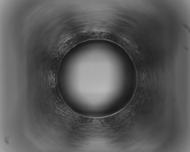 X0000100971013200806241546