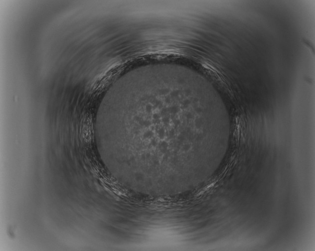 X0000100971014200806241546