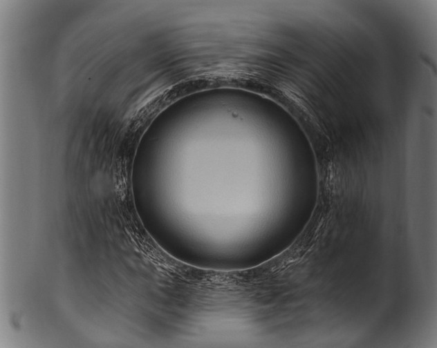 X0000100971015200806241546