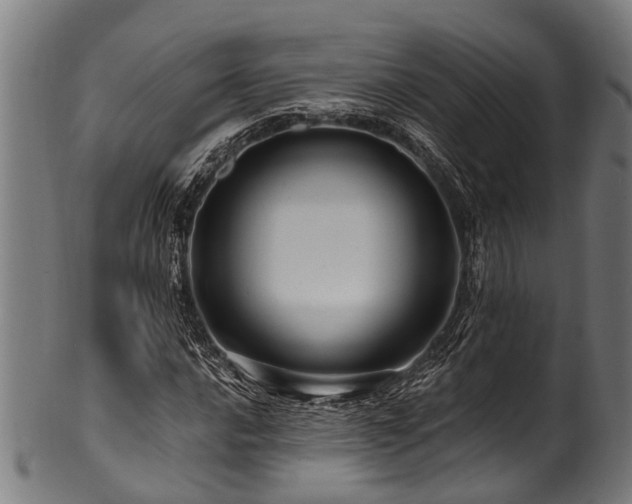 X0000100971016200806241546