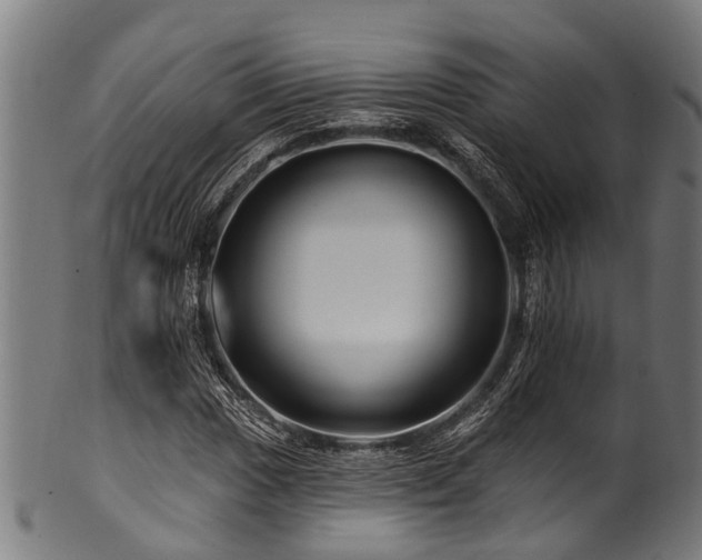 X0000100971017200806241546