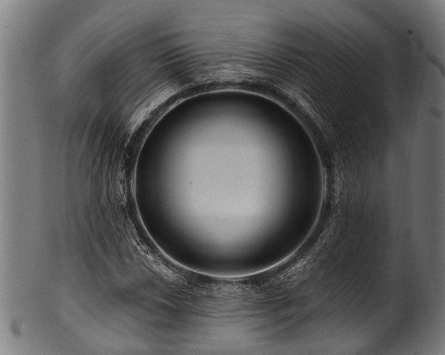 X0000100971018200806241546