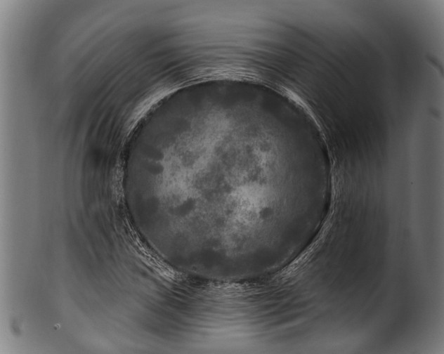 X0000100971019200806241546