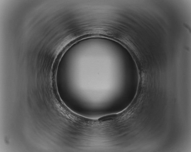 X0000100971020200806241546