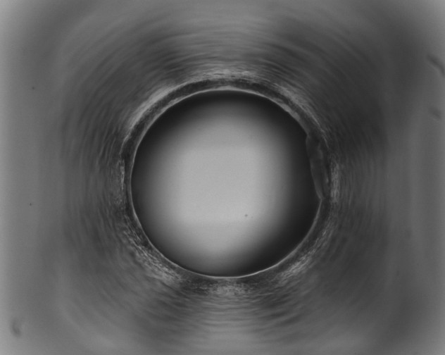 X0000100971021200806241546