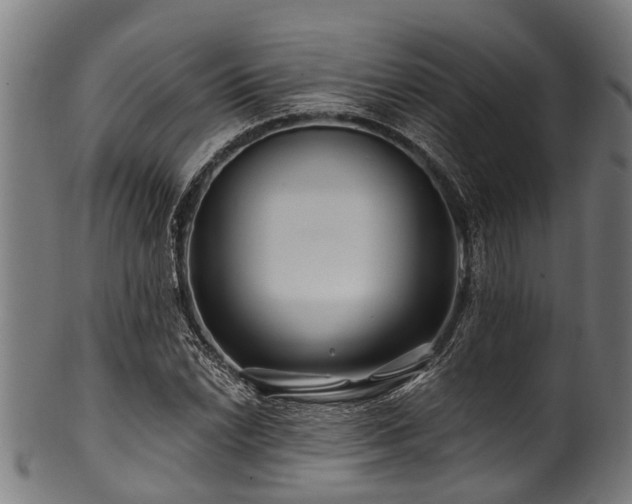 X0000100971022200806241546