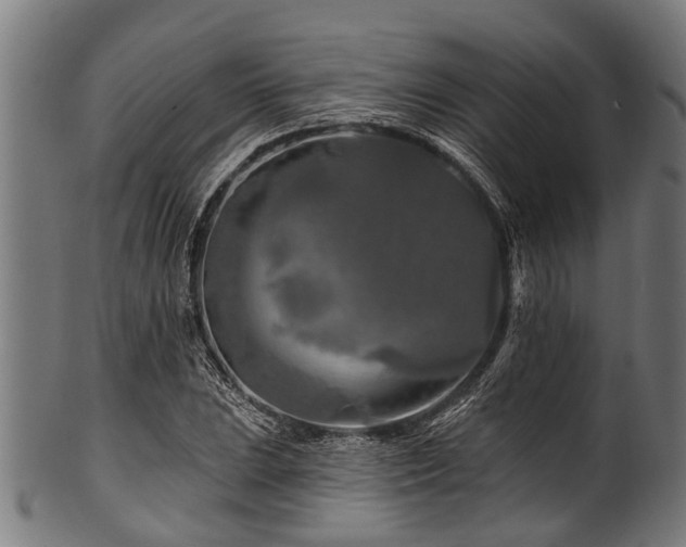 X0000100971023200806241546