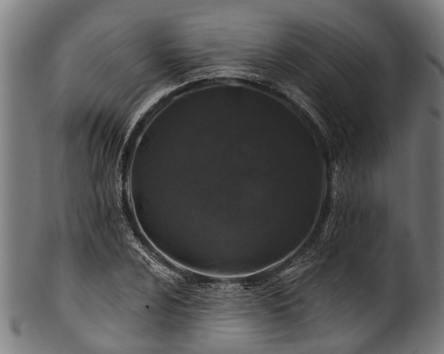 X0000100971024200806241546