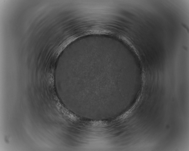 X0000100971025200806241546