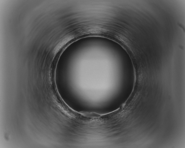 X0000100971026200806241546