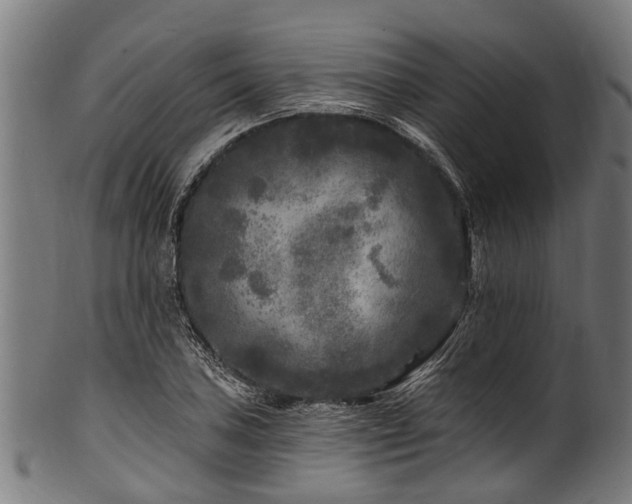 X0000100971027200806241546