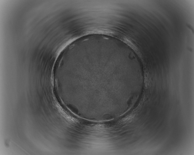 X0000100971028200806241546